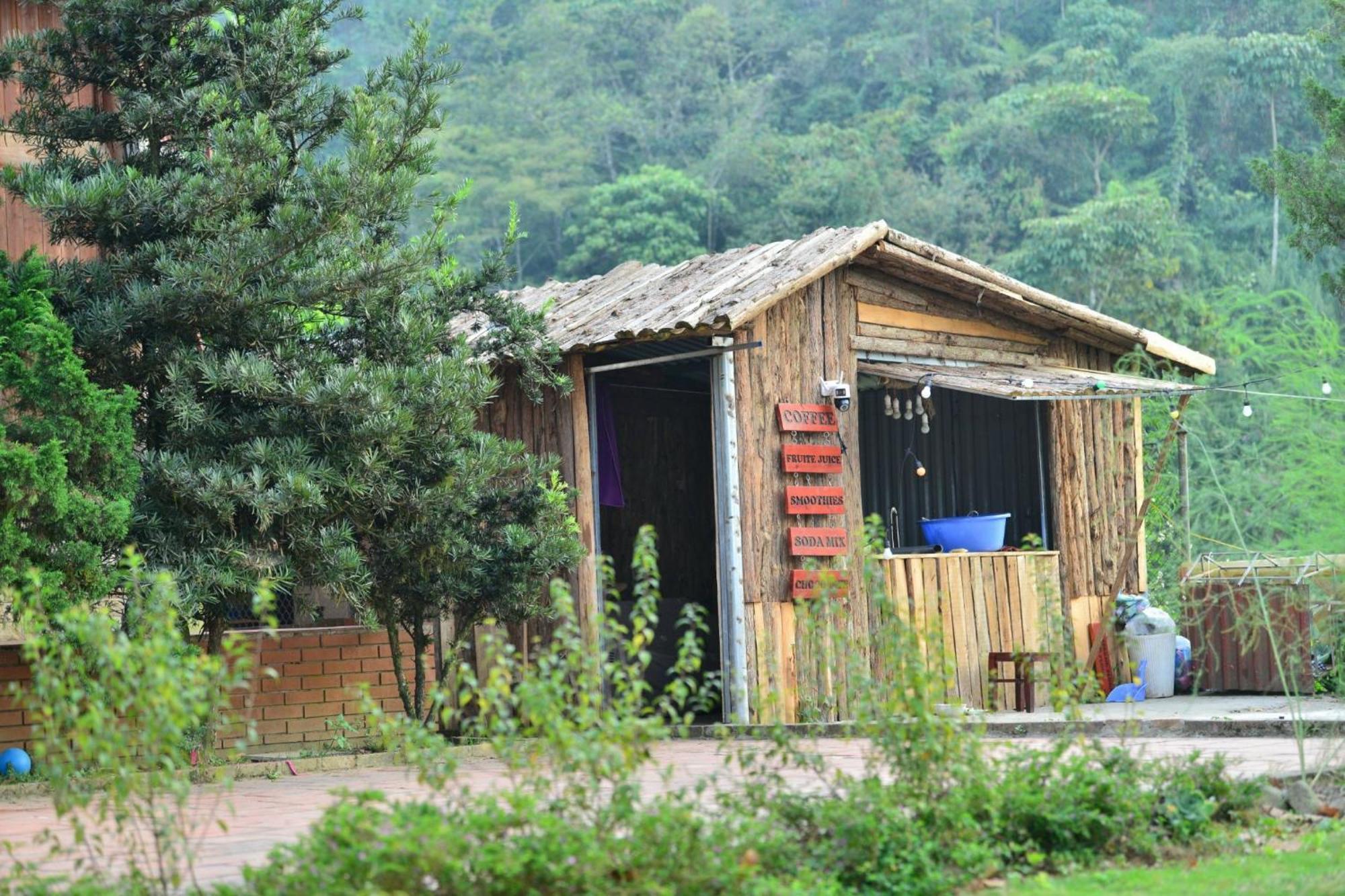Pea Homestay Шапа Экстерьер фото